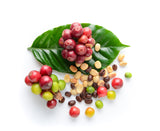 What Is the Strongest Natural Caffeine?
